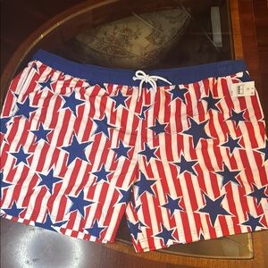 Patriotic Star and Stripe Swim Shorts